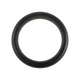 AODD Glyd-Ring GR01 (01-32220-55)